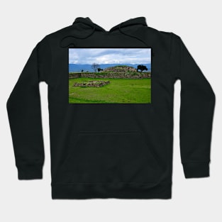 Site archéologique de Monte Alban, Oaxaca Mexique Hoodie